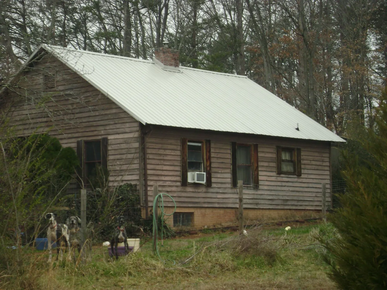 White metal roof on an old wood sided farmhouse, from a Asphalt Shingle Roof Repair job in Butte